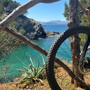 Bike & Wine Experience