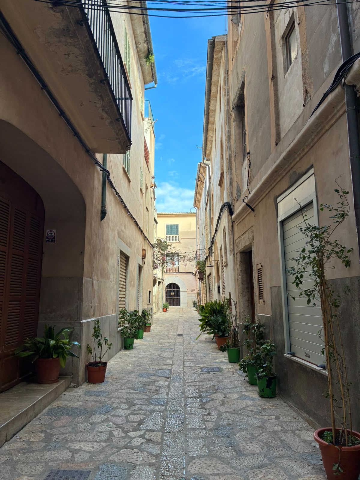 Pollenca 2